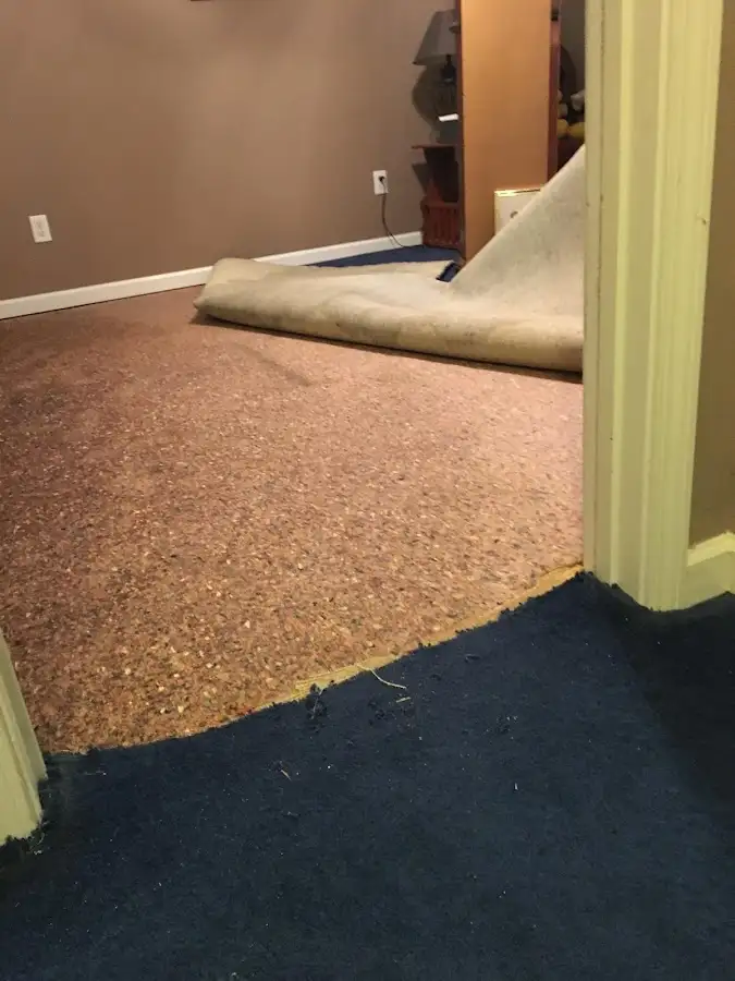 Carpet pad removal revealing water damage during Drying & Dehumidification in Liberty